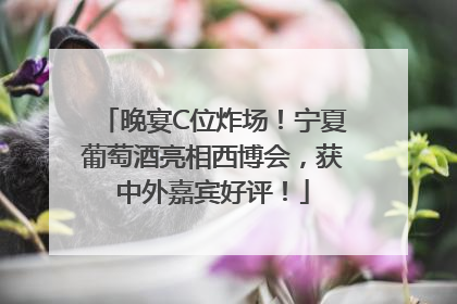 晚宴C位炸场！宁夏葡萄酒亮相西博会，获中外嘉宾好评！