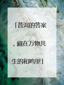 普洱的答案，藏在万物共生的和鸣里
