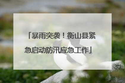 暴雨突袭！衡山县紧急启动防汛应急工作