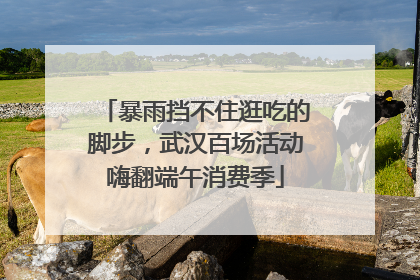 暴雨挡不住逛吃的脚步，武汉百场活动嗨翻端午消费季