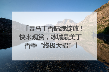暴马丁香陆续绽放！快来观赏，冰城最美丁香季“终极大招”