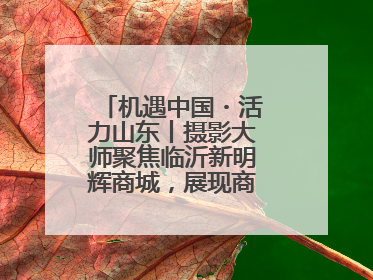 机遇中国・活力山东丨摄影大师聚焦临沂新明辉商城，展现商贸物流新风貌