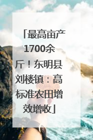 最高亩产1700余斤！东明县刘楼镇：高标准农田增效增收