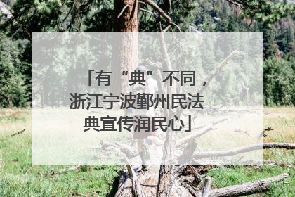 有“典”不同，浙江宁波鄞州民法典宣传润民心