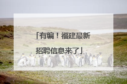 有编！福建最新招聘信息来了