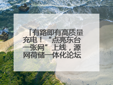 有路即有高质量充电！“点亮东台一张网”上线，源网荷储一体化论坛聚焦低碳转型