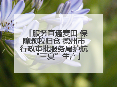 服务直通麦田 保障颗粒归仓 德州市行政审批服务局护航“三夏”生产