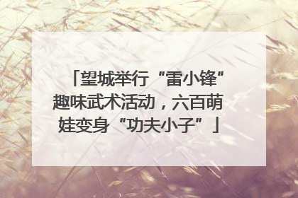 望城举行“雷小锋”趣味武术活动，六百萌娃变身“功夫小子”
