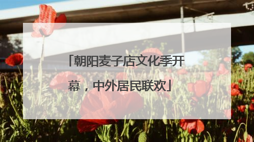 朝阳麦子店文化季开幕，中外居民联欢