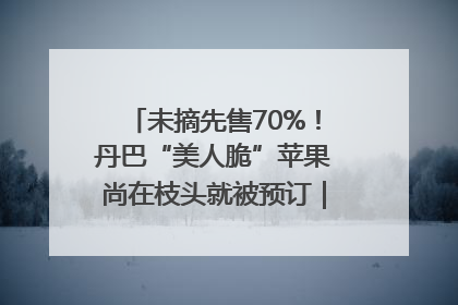 未摘先售70%！丹巴“美人脆”苹果尚在枝头就被预订｜长征路上看四川
