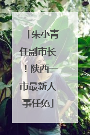朱小青任副市长！陕西一市最新人事任免
