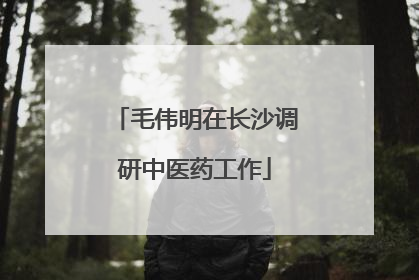 毛伟明在长沙调研中医药工作