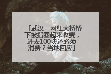 武汉一网红大桥桥下被指圈起来收费，进去100块还必须消费？当地回应