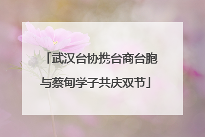 武汉台协携台商台胞与蔡甸学子共庆双节