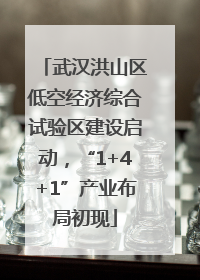 武汉洪山区低空经济综合试验区建设启动，“1+4+1”产业布局初现