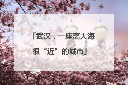 武汉，一座离大海很“近”的城市