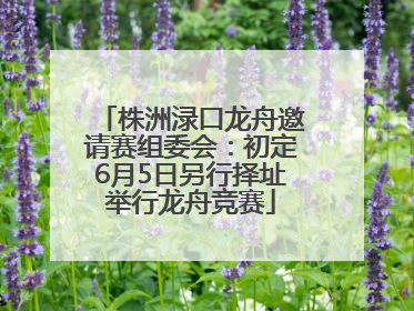 株洲渌口龙舟邀请赛组委会：初定6月5日另行择址举行龙舟竞赛