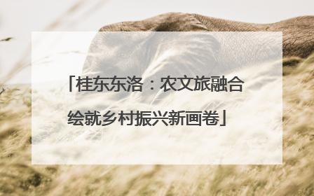 桂东东洛：农文旅融合绘就乡村振兴新画卷