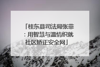 桂东县司法局张菲：用智慧与温情织就社区矫正安全网
