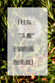 桂东：“头雁”王镇的蓝图美景