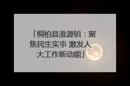 桐柏县淮源镇：聚焦民生实事 激发人大工作新动能