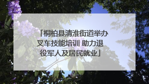 桐柏县清淮街道举办叉车技能培训 助力退役军人及居民就业