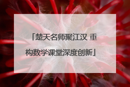楚天名师聚江汉 重构数学课堂深度创新