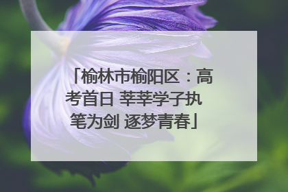 榆林市榆阳区：高考首日 莘莘学子执笔为剑 逐梦青春