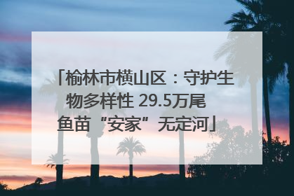 榆林市横山区：守护生物多样性 29.5万尾鱼苗“安家”无定河