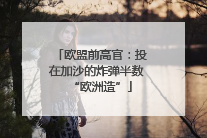 欧盟前高官：投在加沙的炸弹半数“欧洲造”