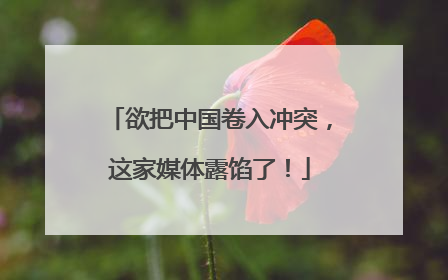 欲把中国卷入冲突，这家媒体露馅了！
