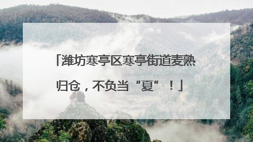潍坊寒亭区寒亭街道麦熟归仓，不负当“夏”！