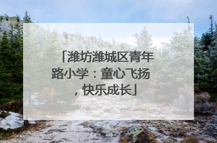 潍坊潍城区青年路小学：童心飞扬，快乐成长