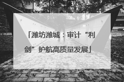 潍坊潍城：审计“利剑”护航高质量发展