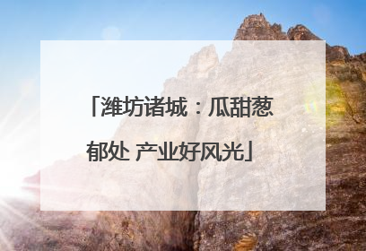 潍坊诸城：瓜甜葱郁处 产业好风光