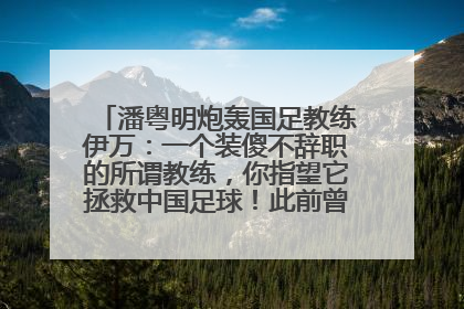 潘粤明炮轰国足教练伊万：一个装傻不辞职的所谓教练，你指望它拯救中国足球！此前曾多次发文评价国足