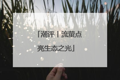 潮评丨流萤点亮生态之光