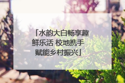水韵大白畅享趣鲜乐活 校地携手赋能乡村振兴