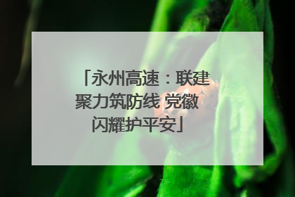 永州高速：联建聚力筑防线 党徽闪耀护平安