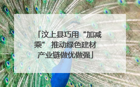 汶上县巧用“加减乘” 推动绿色建材产业链做优做强