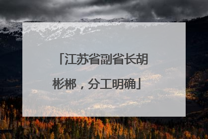 江苏省副省长胡彬郴，分工明确