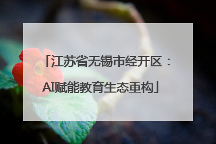 江苏省无锡市经开区：AI赋能教育生态重构