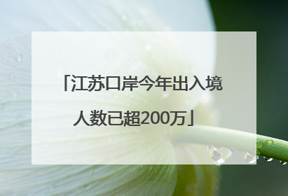 江苏口岸今年出入境人数已超200万