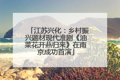 江苏兴化：乡村振兴题材现代淮剧《油菜花开燕归来》在南京成功首演