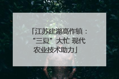江苏建湖高作镇：“三夏”大忙 现代农业技术助力