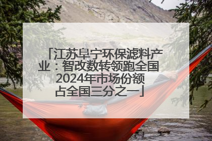 江苏阜宁环保滤料产业：智改数转领跑全国 2024年市场份额占全国三分之一