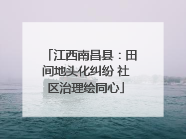 江西南昌县：田间地头化纠纷 社区治理绘同心