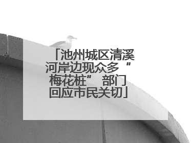 池州城区清溪河岸边现众多“梅花桩” 部门回应市民关切