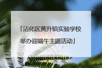 沾化区黄升镇实验学校举办迎端午主题活动