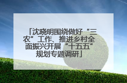 沈晓明围绕做好“三农”工作、推进乡村全面振兴开展“十五五”规划专题调研